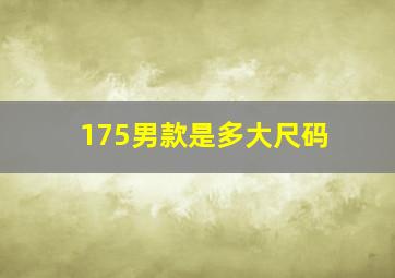 175男款是多大尺码