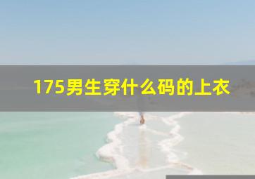 175男生穿什么码的上衣