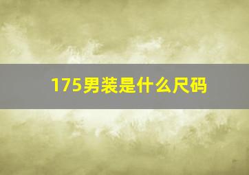 175男装是什么尺码