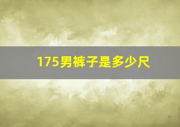 175男裤子是多少尺