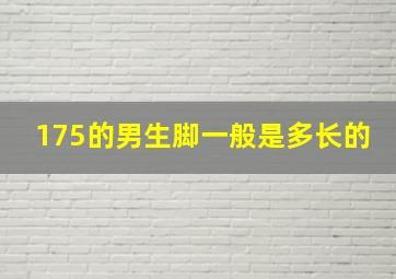 175的男生脚一般是多长的