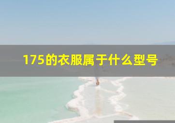 175的衣服属于什么型号