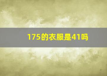 175的衣服是41吗