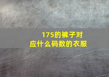 175的裤子对应什么码数的衣服