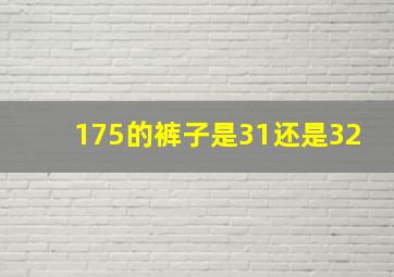 175的裤子是31还是32