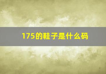 175的鞋子是什么码