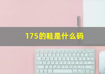 175的鞋是什么码