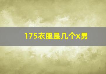 175衣服是几个x男