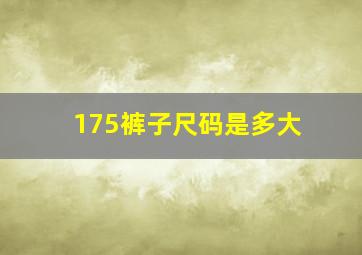 175裤子尺码是多大