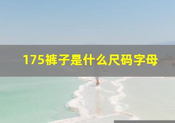 175裤子是什么尺码字母