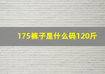 175裤子是什么码120斤