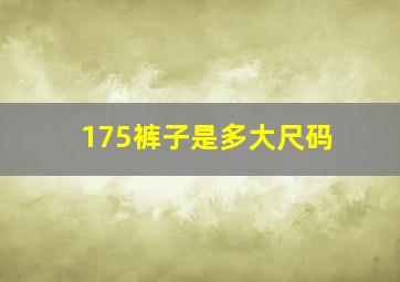 175裤子是多大尺码