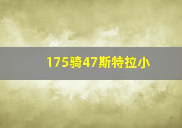 175骑47斯特拉小