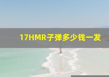 17HMR子弹多少钱一发