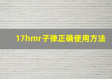 17hmr子弹正确使用方法