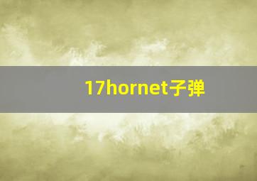 17hornet子弹