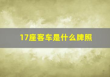 17座客车是什么牌照