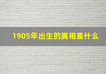 1905年出生的属相是什么