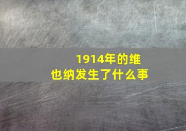 1914年的维也纳发生了什么事