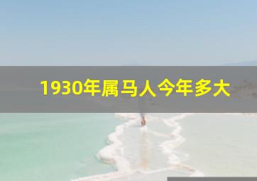 1930年属马人今年多大