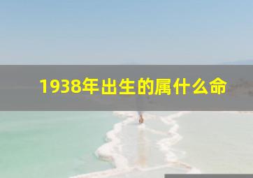 1938年出生的属什么命