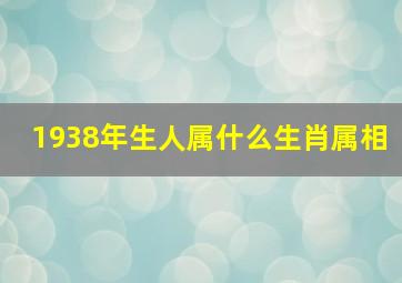 1938年生人属什么生肖属相