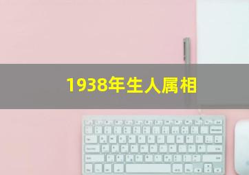 1938年生人属相