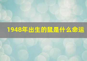 1948年出生的鼠是什么命运