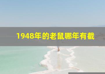 1948年的老鼠哪年有截