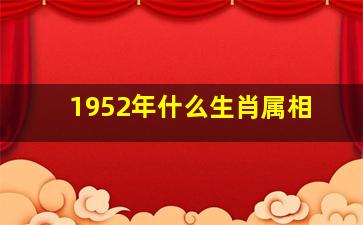 1952年什么生肖属相