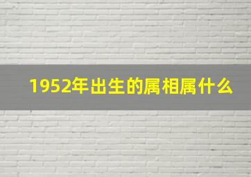 1952年出生的属相属什么