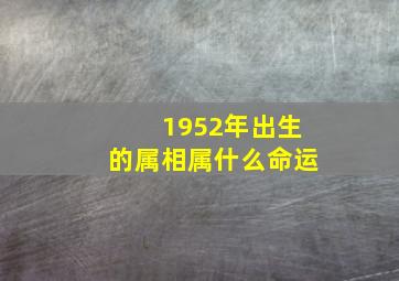 1952年出生的属相属什么命运