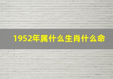 1952年属什么生肖什么命