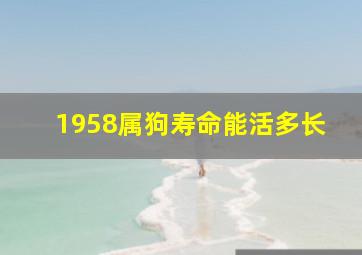 1958属狗寿命能活多长