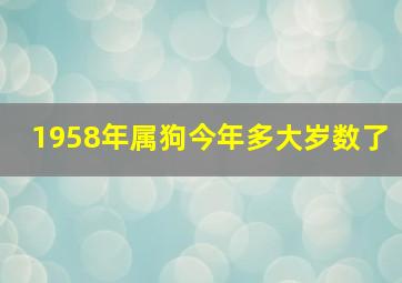 1958年属狗今年多大岁数了