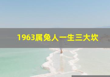 1963属兔人一生三大坎