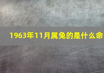 1963年11月属兔的是什么命