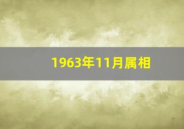 1963年11月属相