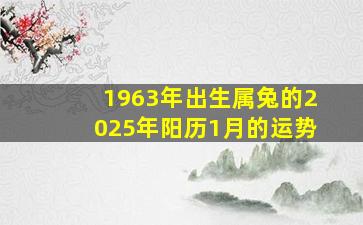 1963年出生属兔的2025年阳历1月的运势