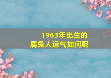 1963年出生的属兔人运气如何呢