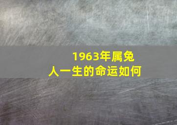 1963年属兔人一生的命运如何