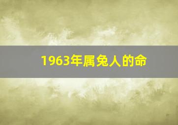 1963年属兔人的命