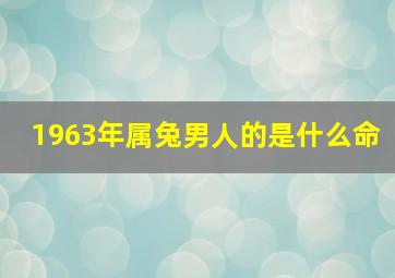 1963年属兔男人的是什么命