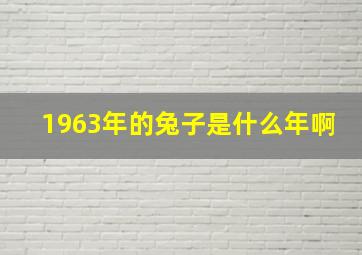 1963年的兔子是什么年啊