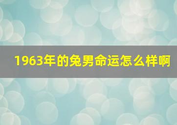 1963年的兔男命运怎么样啊