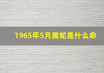 1965年5月属蛇是什么命