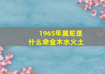 1965年属蛇是什么命金木水火土