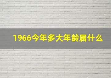 1966今年多大年龄属什么