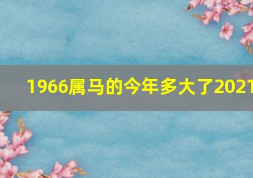 1966属马的今年多大了2021