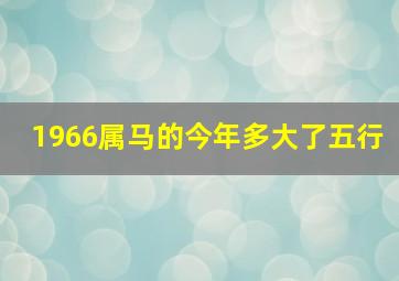 1966属马的今年多大了五行